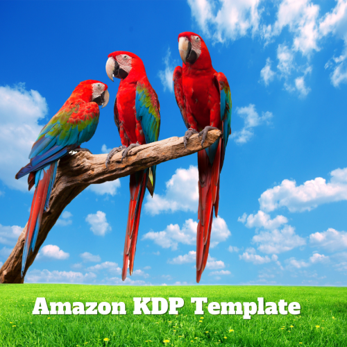 Amazon KDP Drawing Book