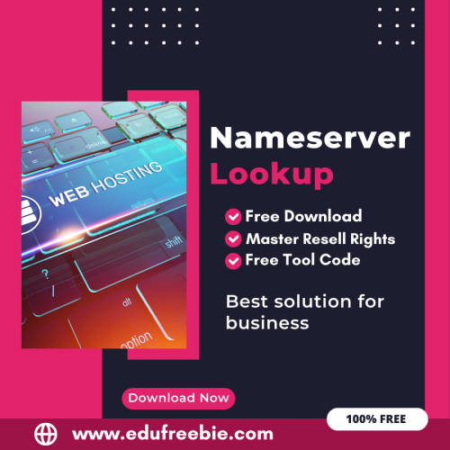 100% Free Nameserver Lookup Tool: Easily Lookup Nameservers by Using this Tool and Earn Money Online