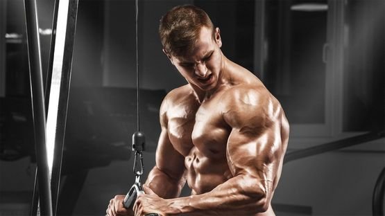 Sustanon: Efecto de la Ingesta
